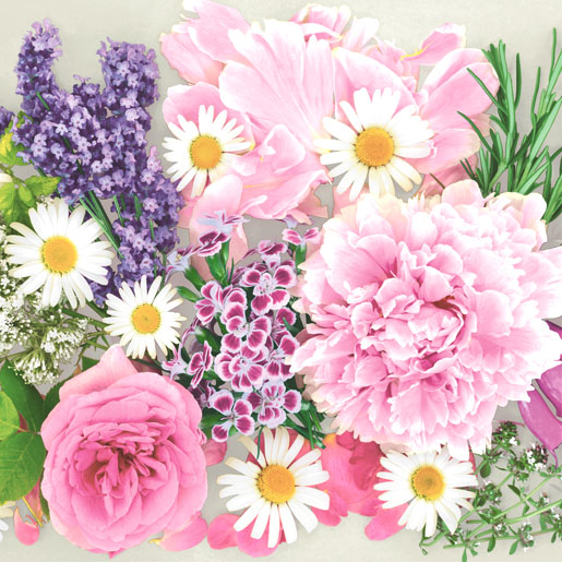 Tissue-Serviette 33 x 33 cm Blossom bliss 3-lagig, 240 Stk/Krt (12 x 20 Stk)