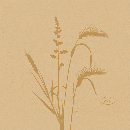 Tovagliolo Bio Dunisoft® 20 x 20 cm Meadow Natural, 2880 pz/cartone (16 x 180 pz)