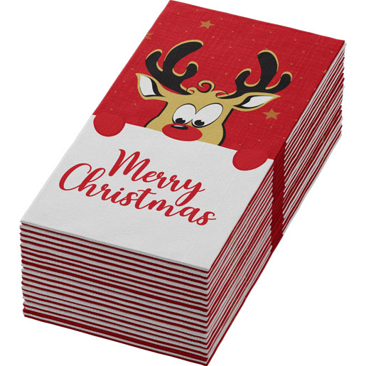 Serviette Bio Dunisoft® 40 x 40 cm Rudolf, 360 pc/carton (6 x 60 pc)