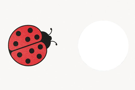 Dunicel® Lätzchen 40 x 60 cm Ladybird, 400 Stk/Krt (8 x 50 Stk)