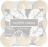 Tealight, 4h, Scented Ø 39 mm 4 h Sand, 216 pcs/box (12 x 18 pcs)