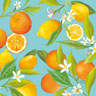 Tissue Napkin 33 x 33 cm Lemon Tree 3-ply, 240 pcs/box (12 x 20 pcs)