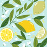 Tissue Napkin 33 x 33 cm Lemon Tree 3-ply, 240 pcs/box (12 x 20 pcs)