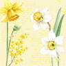 Tissue-Serviette 33 x 33 cm Spring Daffodil 3-lagig, 240 Stk/Krt (12 x 20 Stk)