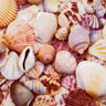 Tissue Napkin 33 x 33 cm Seashells 3-ply, 240 pcs/box (12 x 20 pcs)