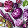 Tissue-Serviette 33 x 33 cm Purple Veggies 3-lagig, 240 Stk/Krt (12 x 20 Stk)