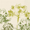 Tissue-lautasliina 40 x 40 cm Green Umbles 3-krs, 1000 kpl/ltk (4 x 250 kpl)