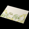 Papperstablett 30 x 40 cm Green Umbles, 1000 St/kart (4 x 250 St)