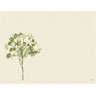 Mantelito Bio Dunicel® 30 x 40 cm Green Umbles, 500 unid./caja (5 x 100 unid.)