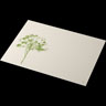Mantelito Bio Dunicel® 30 x 40 cm Green Umbles, 500 unid./caja (5 x 100 unid.)