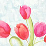 Tissue Napkin 33 x 33 cm Painted Tulips 3-ply, 1000 pcs/box (4 x 250 pcs)
