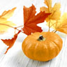 Tissue-Serviette 33 x 33 cm Pumpkin Leaf 3-lagig, 240 Stk/Krt (12 x 20 Stk)