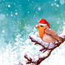 Tissue Napkin 33 x 33 cm Robin Snow 3-ply, 240 pcs/box (12 x 20 pcs)
