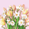 Tissue-Serviette 33 x 33 cm Tulip joy 3-lagig, 240 Stk/Krt (12 x 20 Stk)