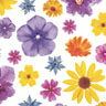 Tissue Napkin 33 x 33 cm Flower flair 3-ply, 240 pcs/box (12 x 20 pcs)