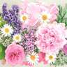 Tissue-Serviette 33 x 33 cm Blossom bliss 3-lagig, 240 Stk/Krt (12 x 20 Stk)