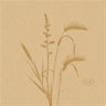 Tovagliolo Bio Dunisoft® 20 x 20 cm Meadow Natural, 2880 pz/cartone (16 x 180 pz)