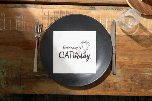 Tissue-Serviette 33 x 33 cm Caturday 3-lagig, 240 Stk/Krt (12 x 20 Stk)