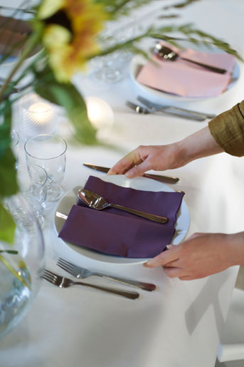 Ubrousek Dunisoft® Bio 40 x 40 cm Švestková, 360 ks/krt (6 x 60 ks)