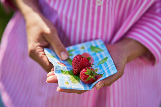 Tissue serviet 24 x 24 cm Strawberry Picnic 3-lags, 240 Stk/kart (12 x 20 Stk)
