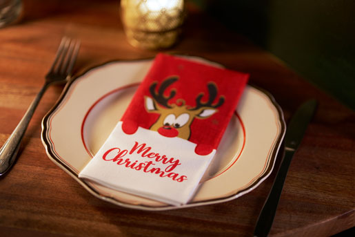 Serviette Bio Dunisoft® 40 x 40 cm Rudolf, 360 pc/carton (6 x 60 pc)