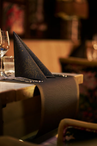 Bio Dunicel® vepa 0,4 x 24 m Sparkly Black, 4 St/kart (4 x 1 St)